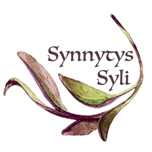 www.synnytyssyli.fi